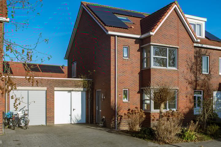 Buizerd 86 main image