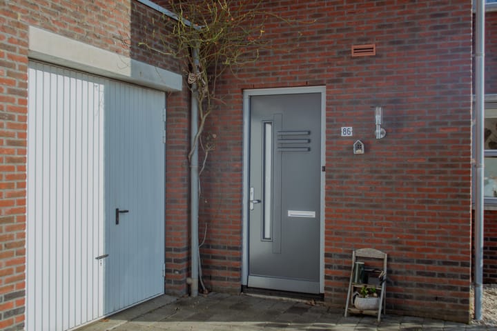 Foto 5 van Buizerd 86