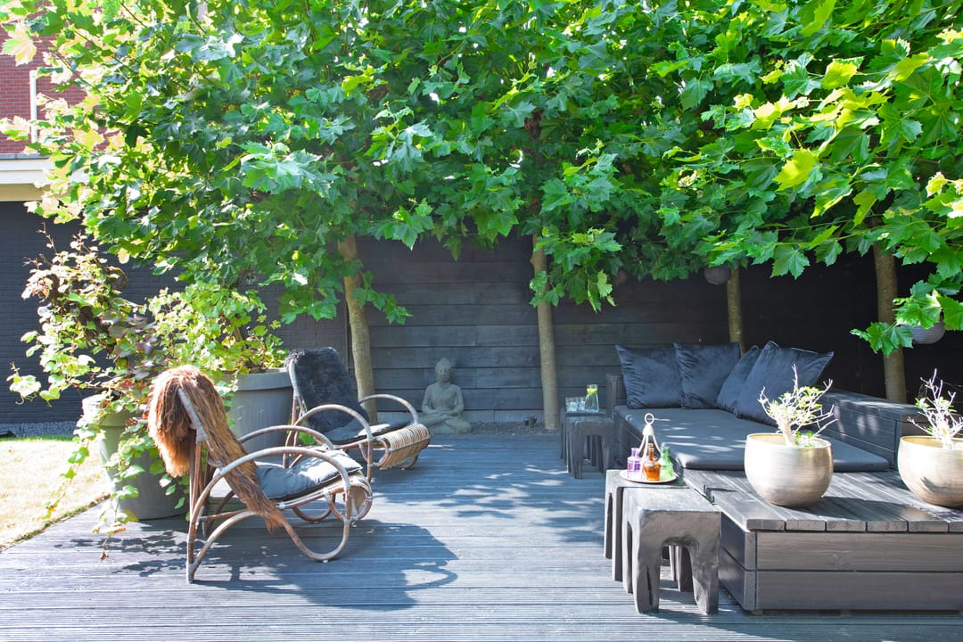 Photo 52 of Balatonmeer 55