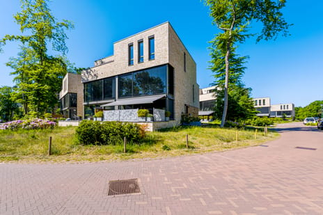Struikheidelaan thumbnail