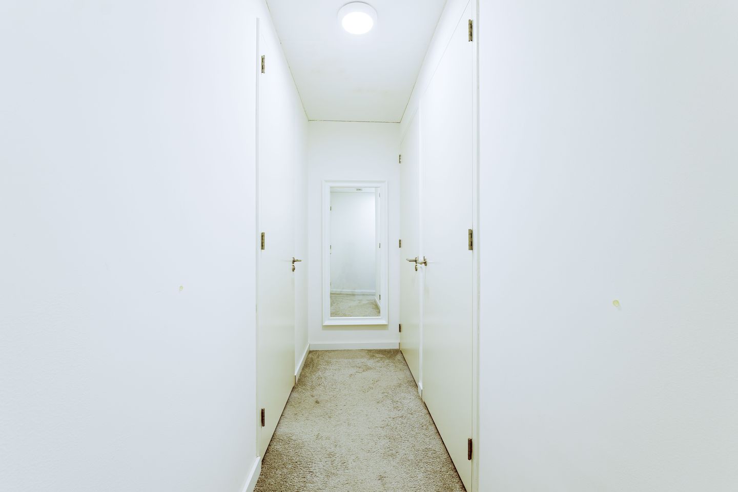 Foto 29 van Struikheidelaan 55