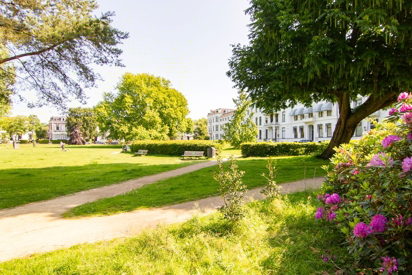 Photo 19 of Kenaupark 26