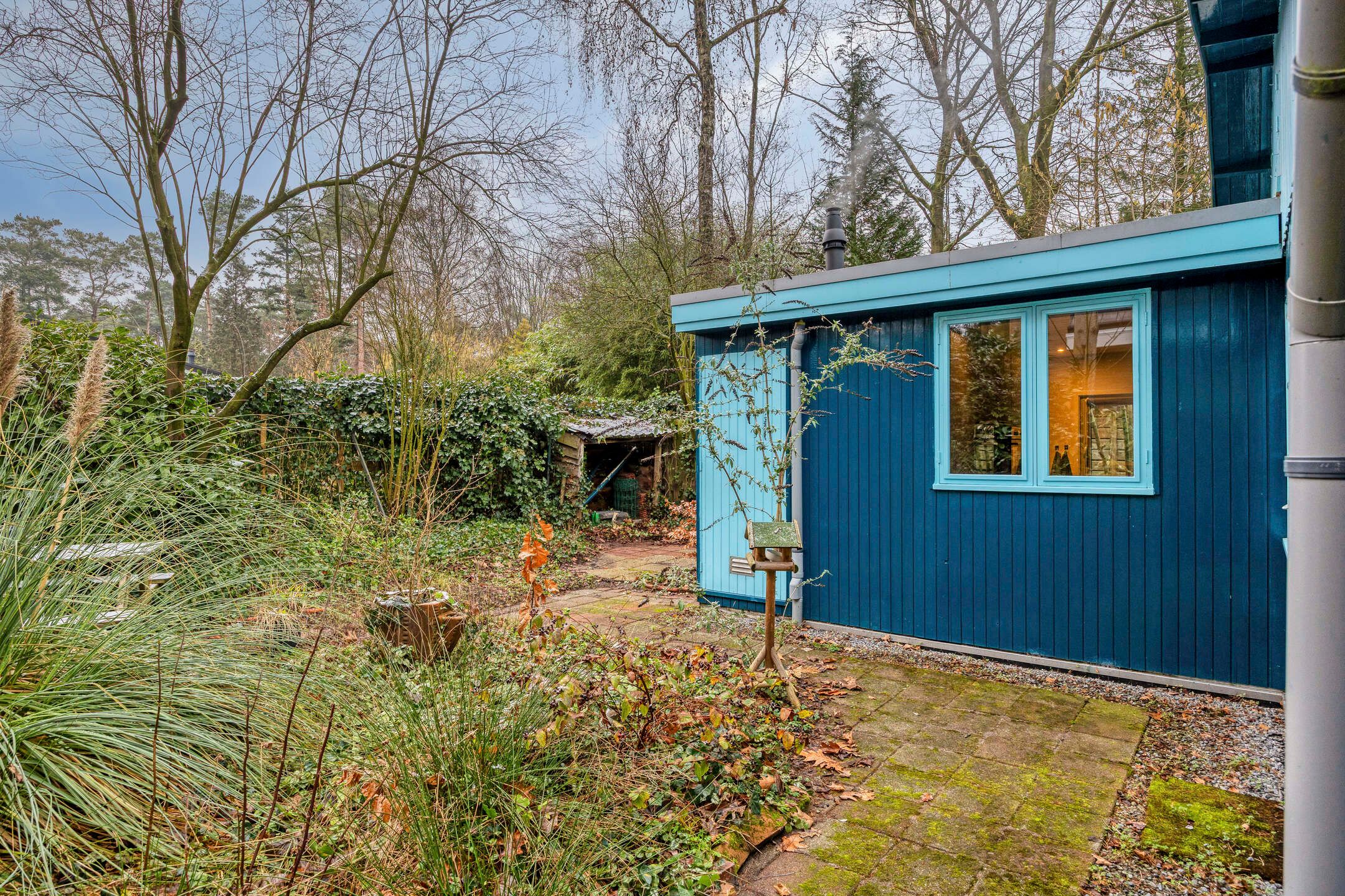 Photo 15 of Schaluinen 11-B408