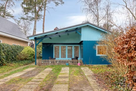 undefined main image