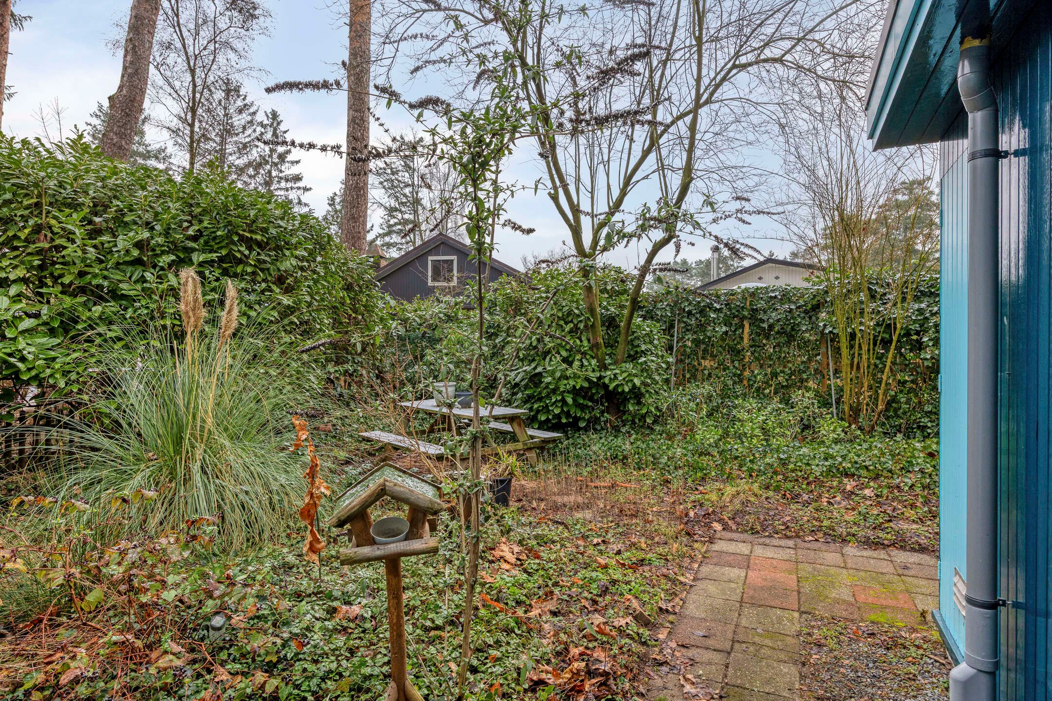 Photo 42 of Schaluinen 11-B408