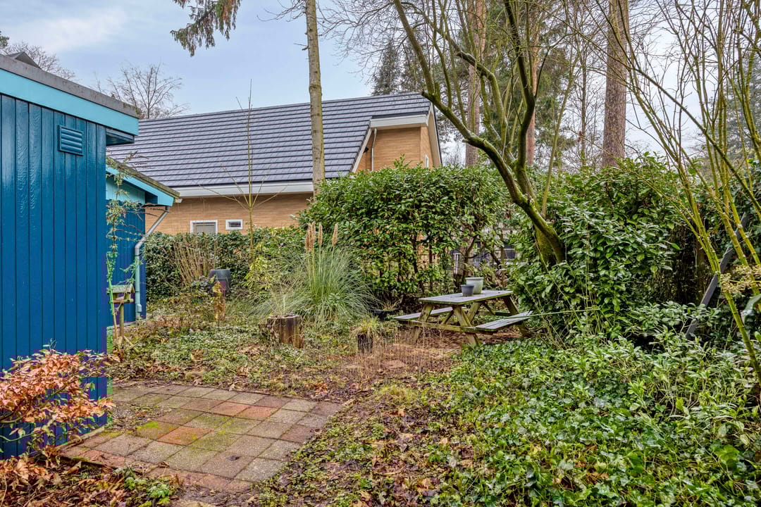 Photo 43 of Schaluinen 11-B408