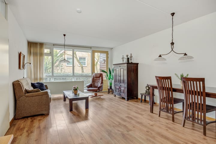 Foto 2 van Visser 11-B