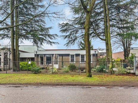 undefined main image