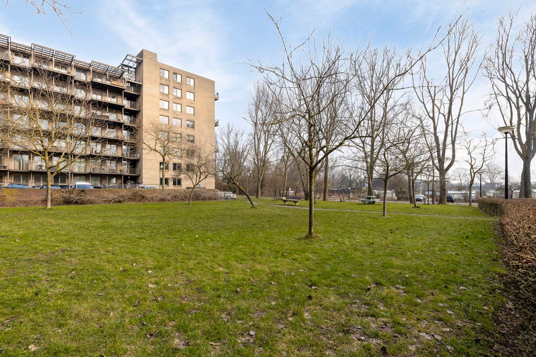 Foto 38 van Tuinderspad 136