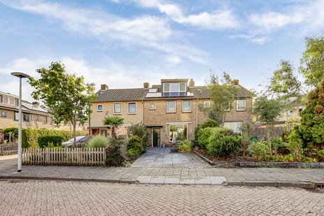 undefined main image