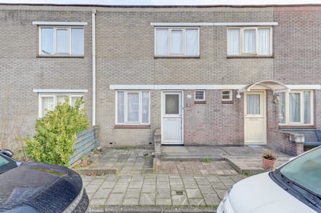 undefined main image