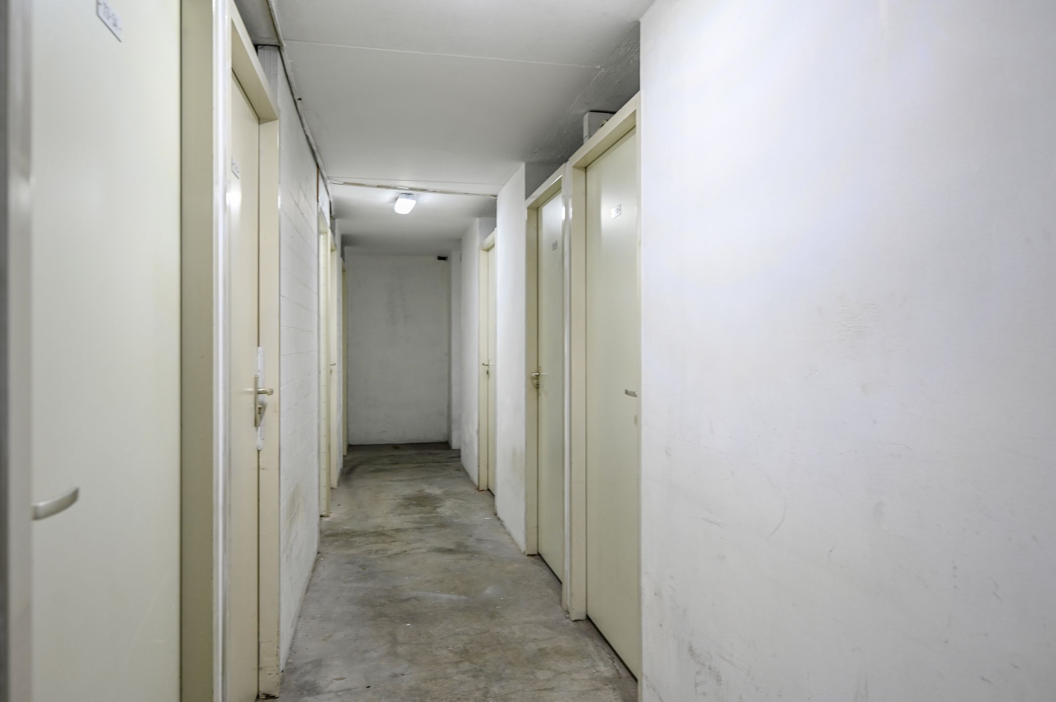 Photo 24 of Groest 73-22