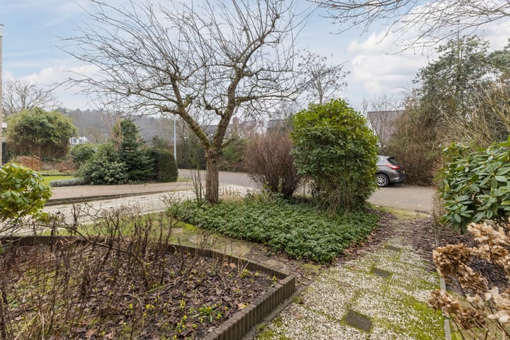 Foto 40 van Jan van Scorelpark 50