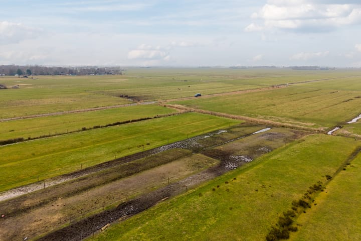 Foto 48 van Jan van Scorelpark 50