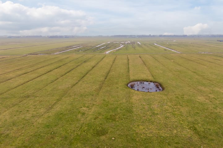 Foto 49 van Jan van Scorelpark 50