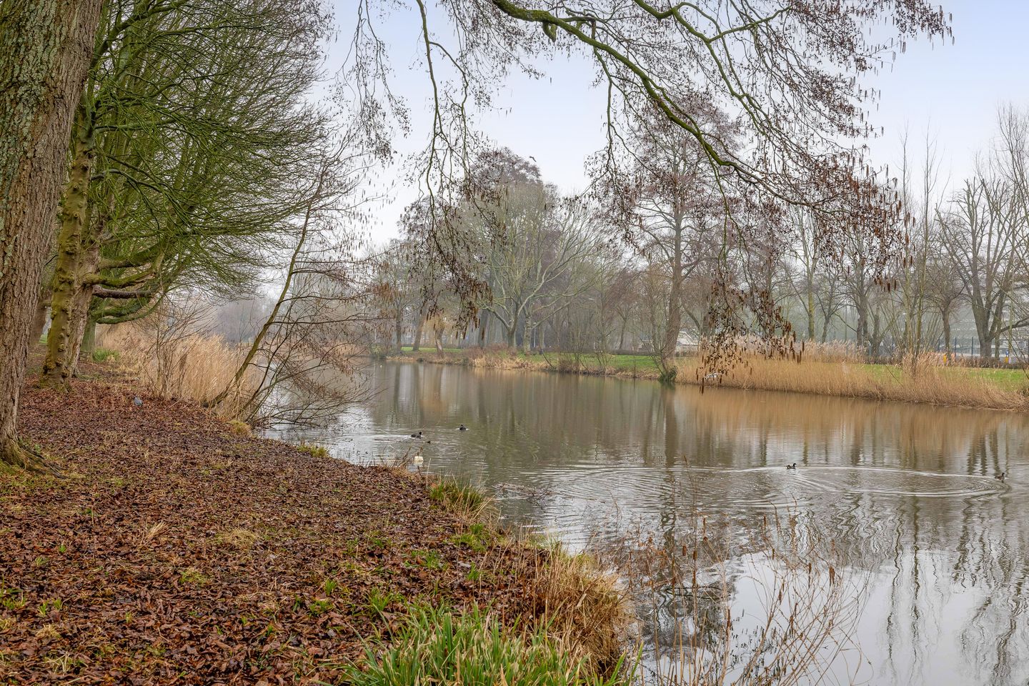 Photo 25 of Moezeldreef 87