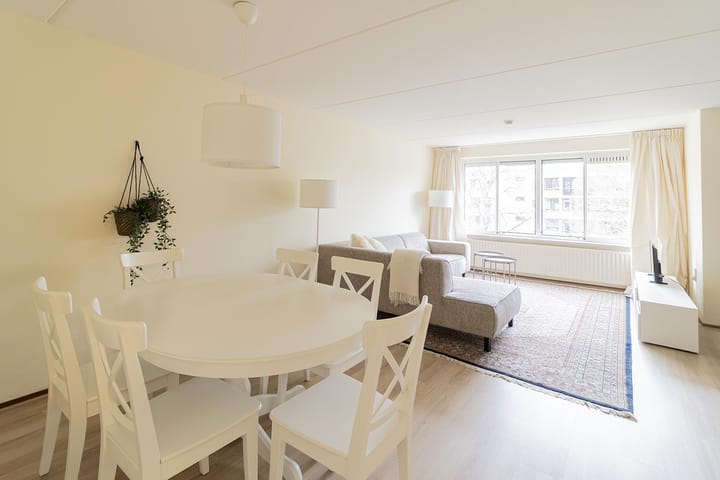 Photo 4 of Kanteel 99