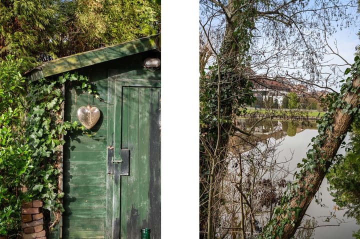 Foto 11 van Jeroen Boschlaan 10