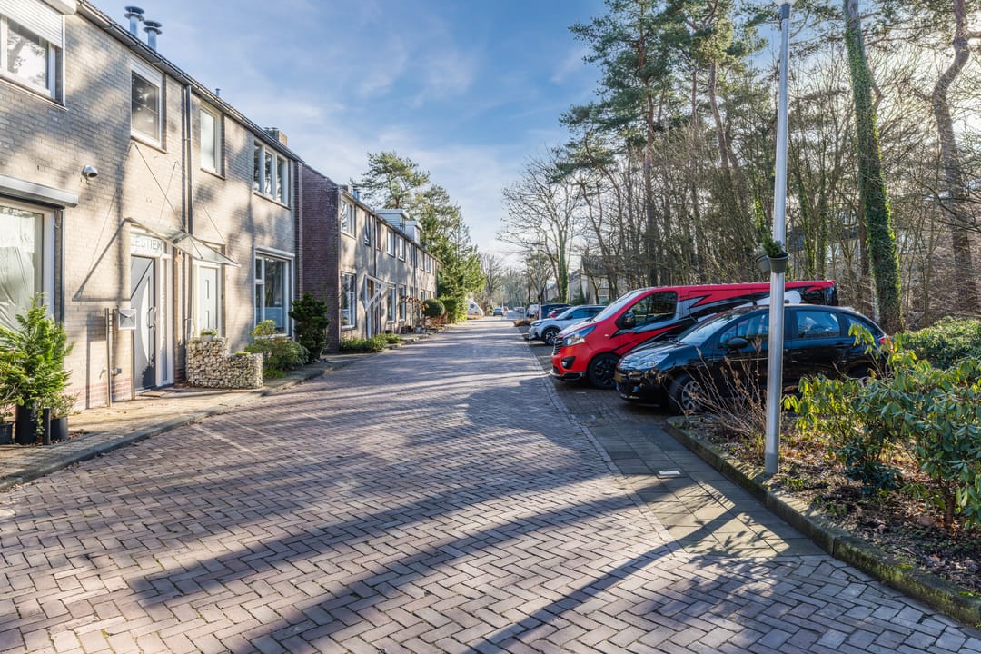 Photo 41 of van Bossehof 20