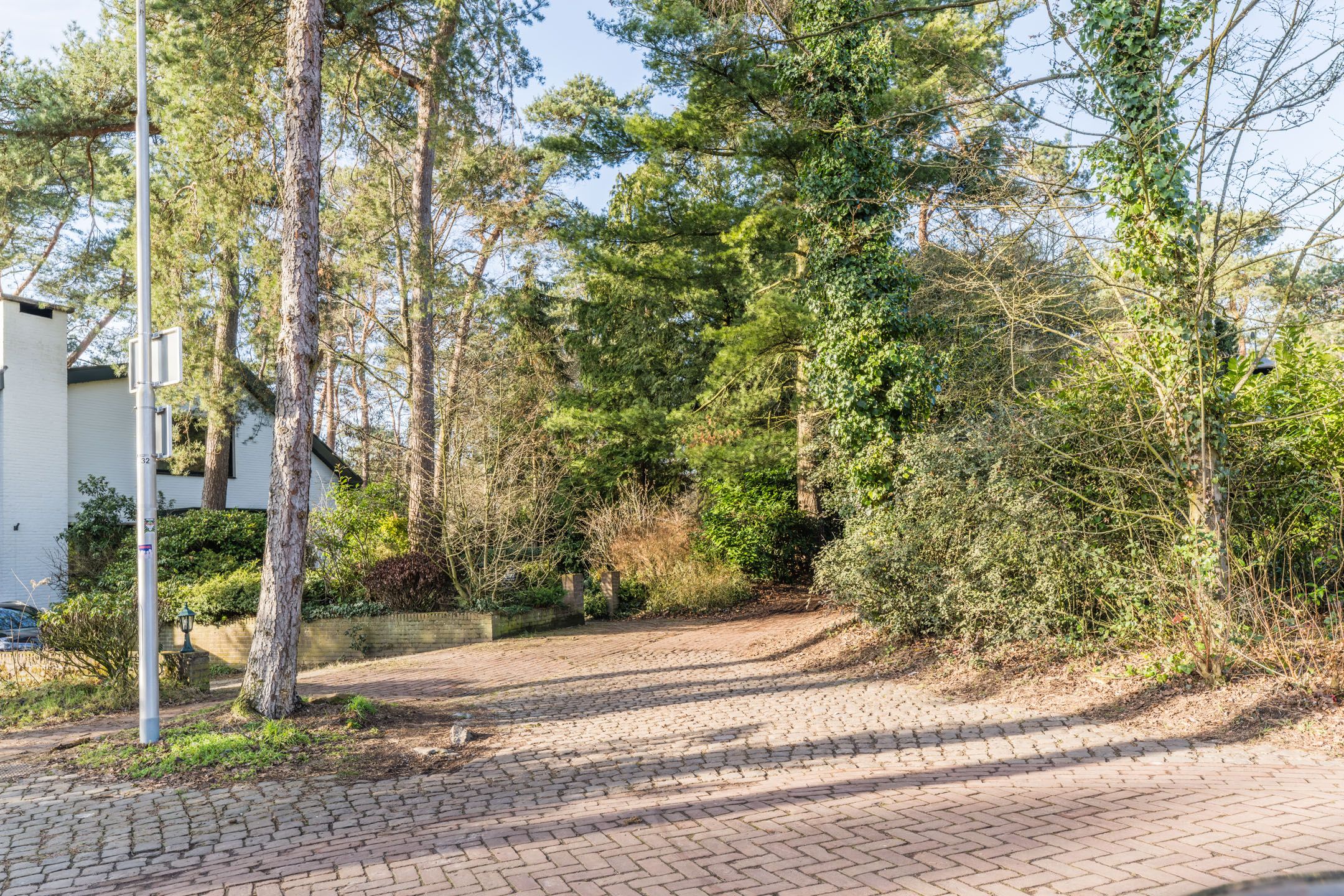 Photo 42 of van Bossehof 20