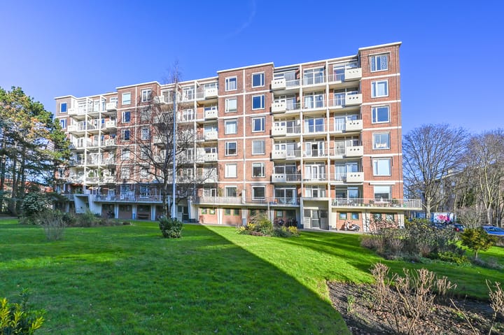 Foto 4 van Ranonkelstraat 141