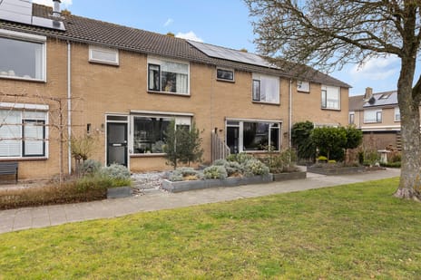 Irisstraat thumbnail