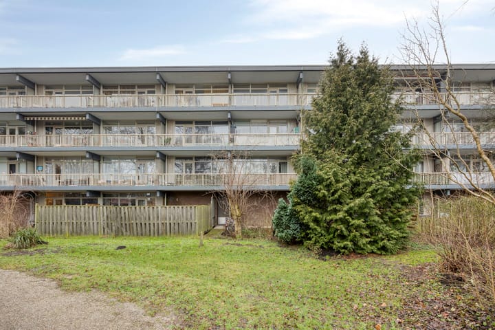 Foto 5 van Grootzeil 21