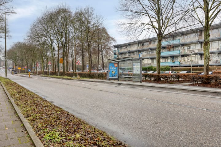 Foto 20 van Grootzeil 21