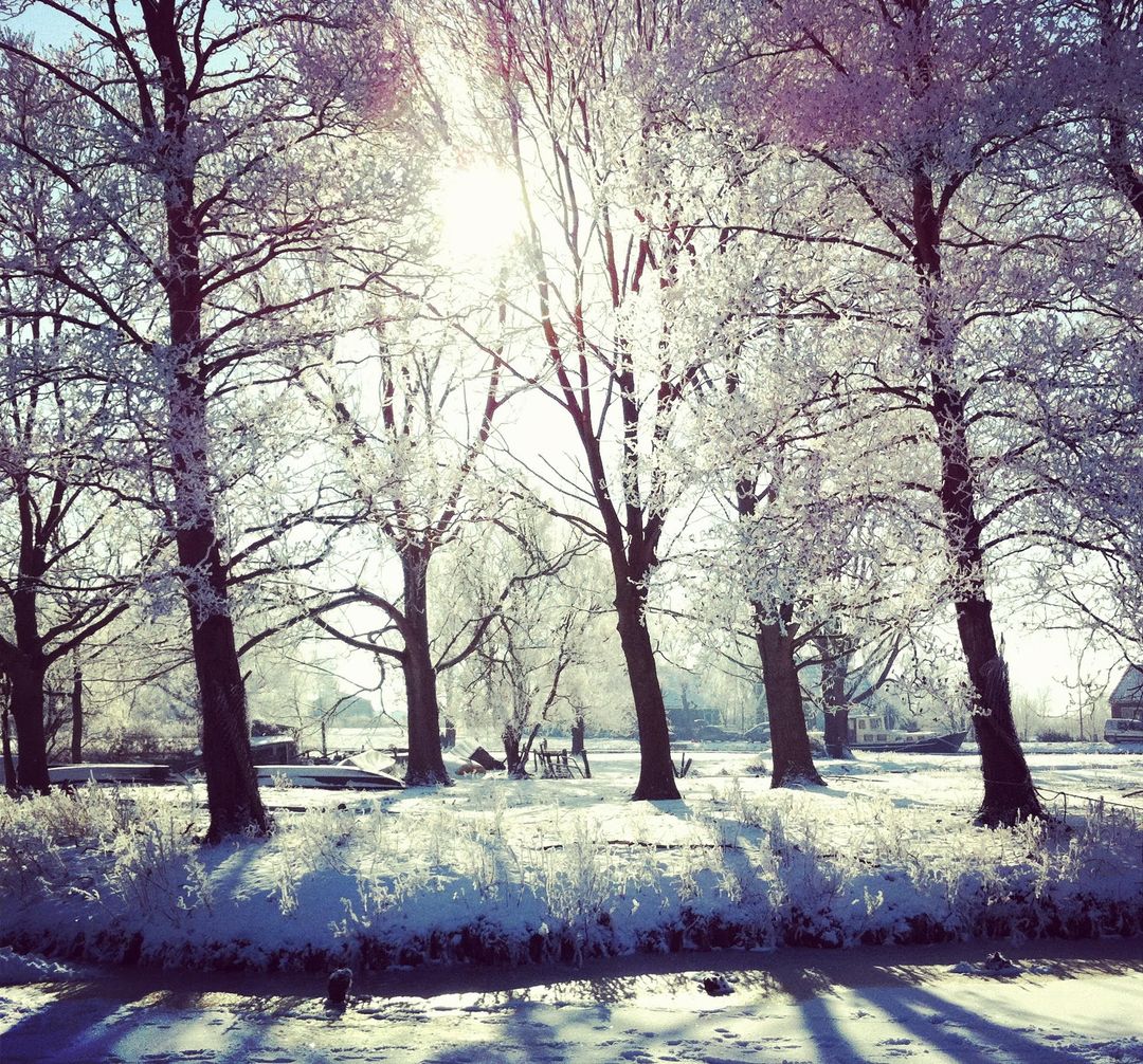 Foto 16 van Havenrak 21-A