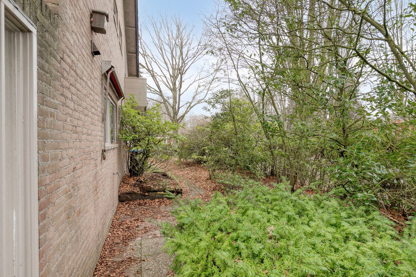 Foto 49 van Frederik Hendriklaan 2