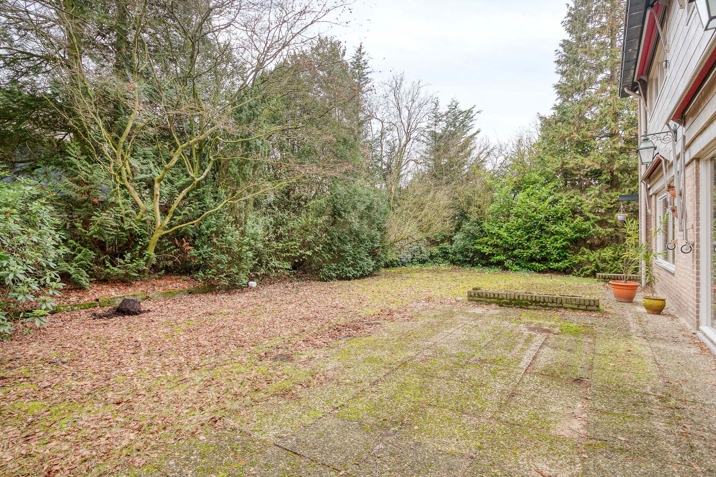 Foto 50 van Frederik Hendriklaan 2