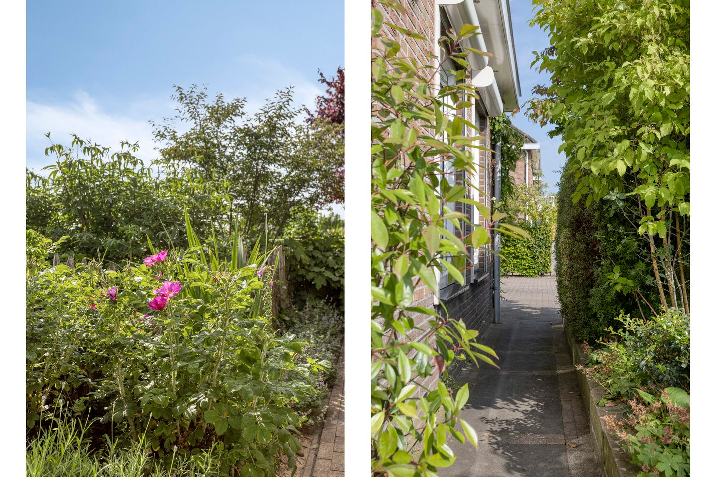 Foto 29 van Vlaskam 16