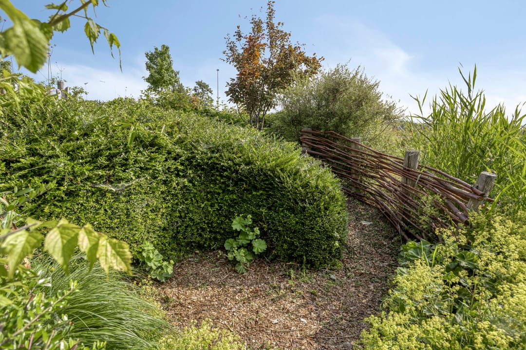 Foto 32 van Vlaskam 16