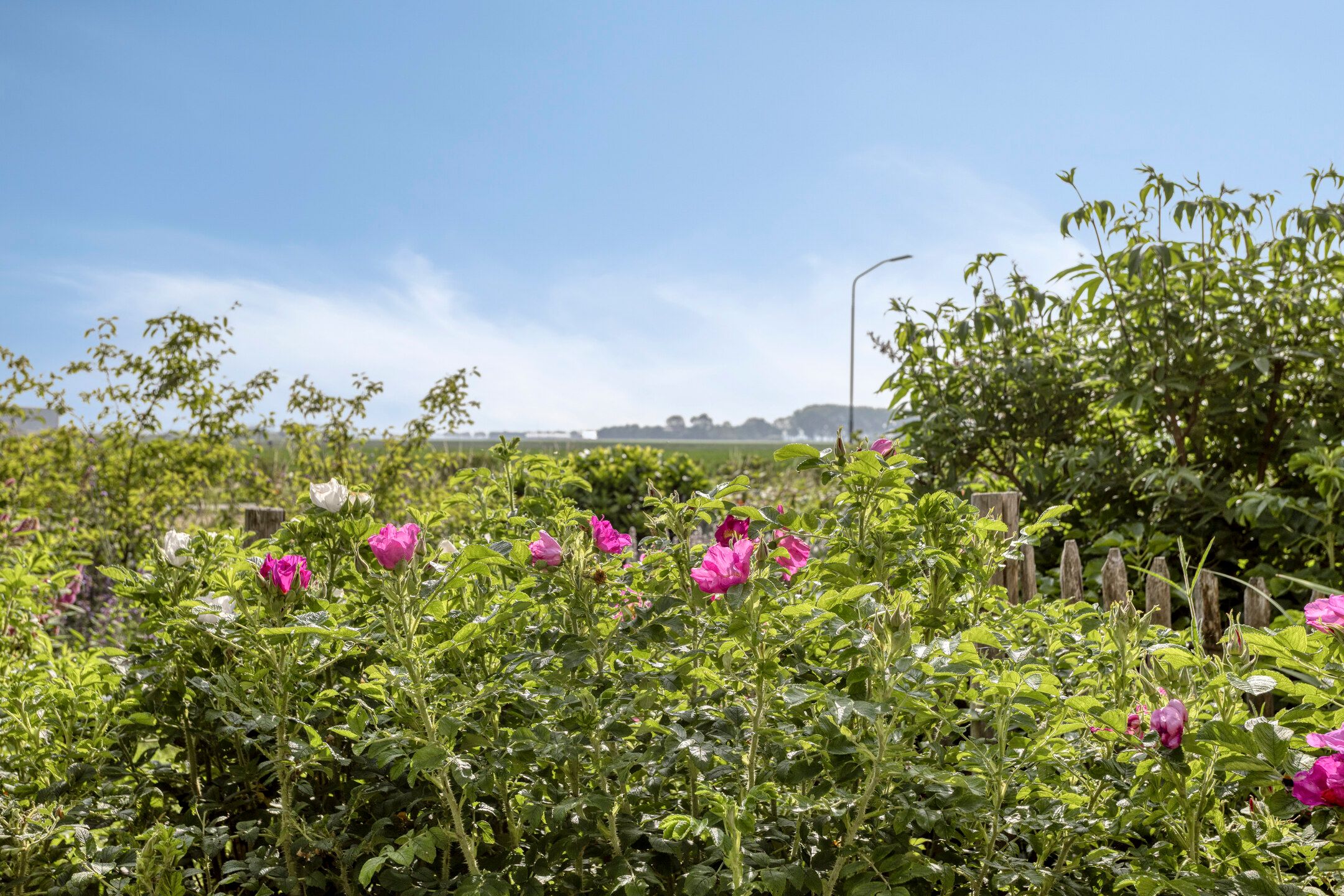 Foto 33 van Vlaskam 16