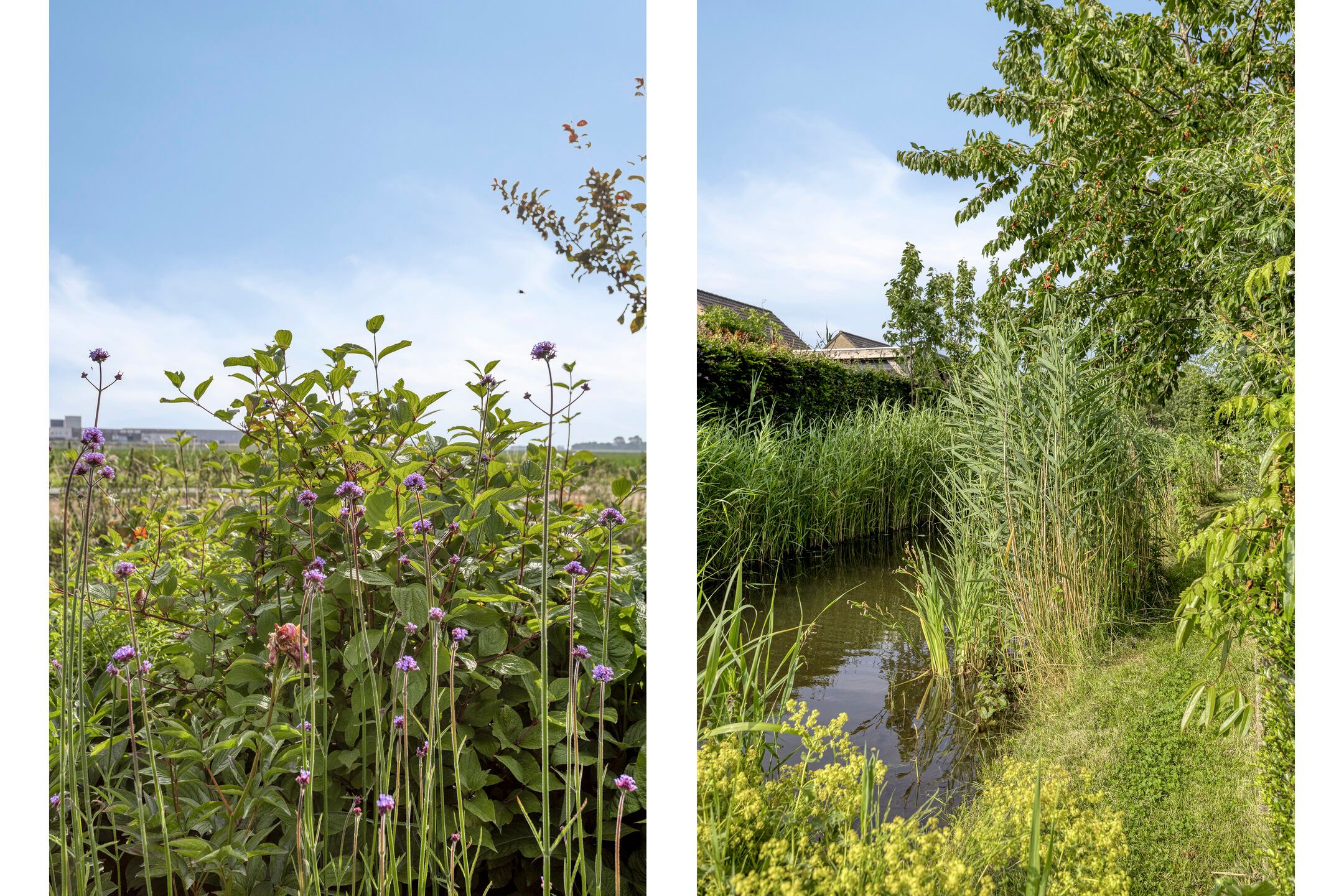 Foto 36 van Vlaskam 16