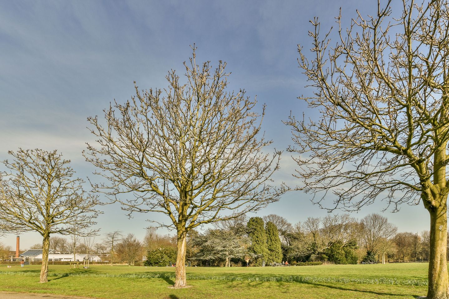 Photo 34 of Hogeweg 86-3