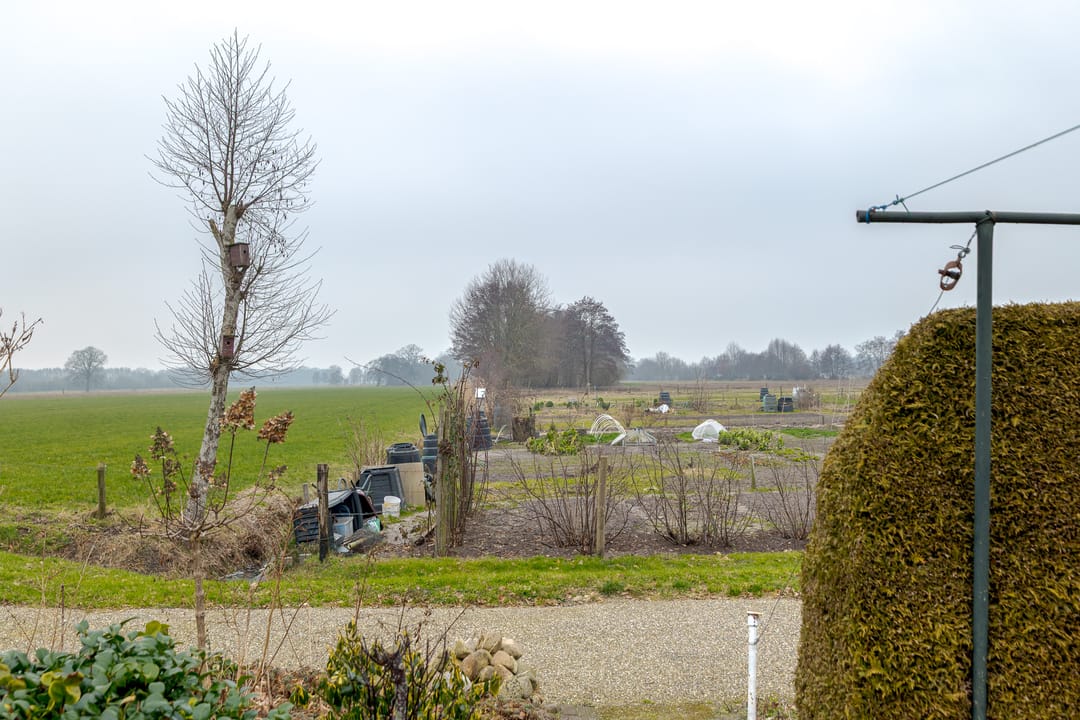 Foto 46 van Patrijslaan 12