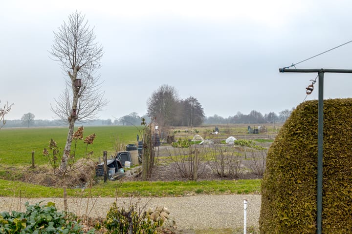 Photo 46 of Patrijslaan 12