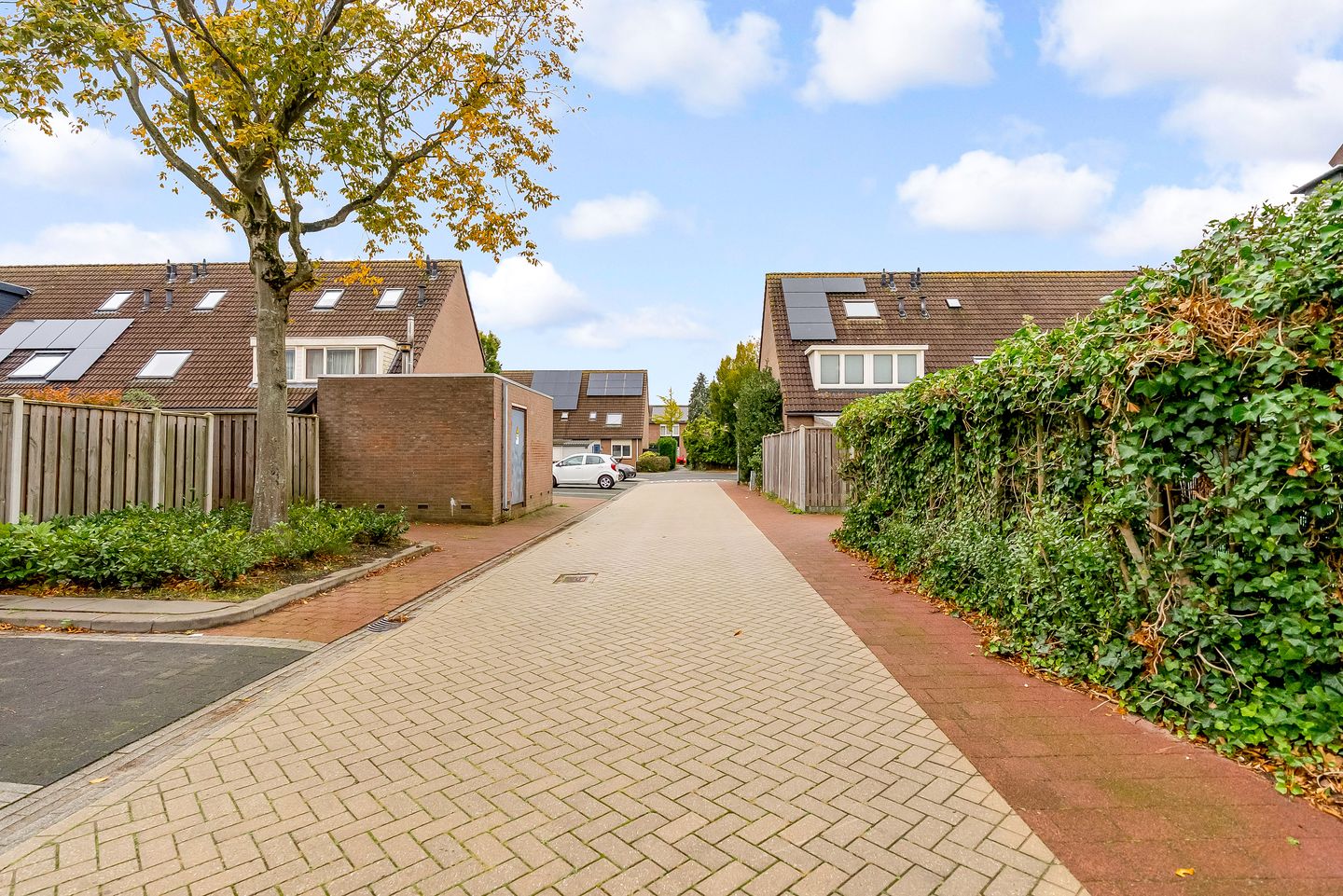 Photo 40 of Schoener 27 22