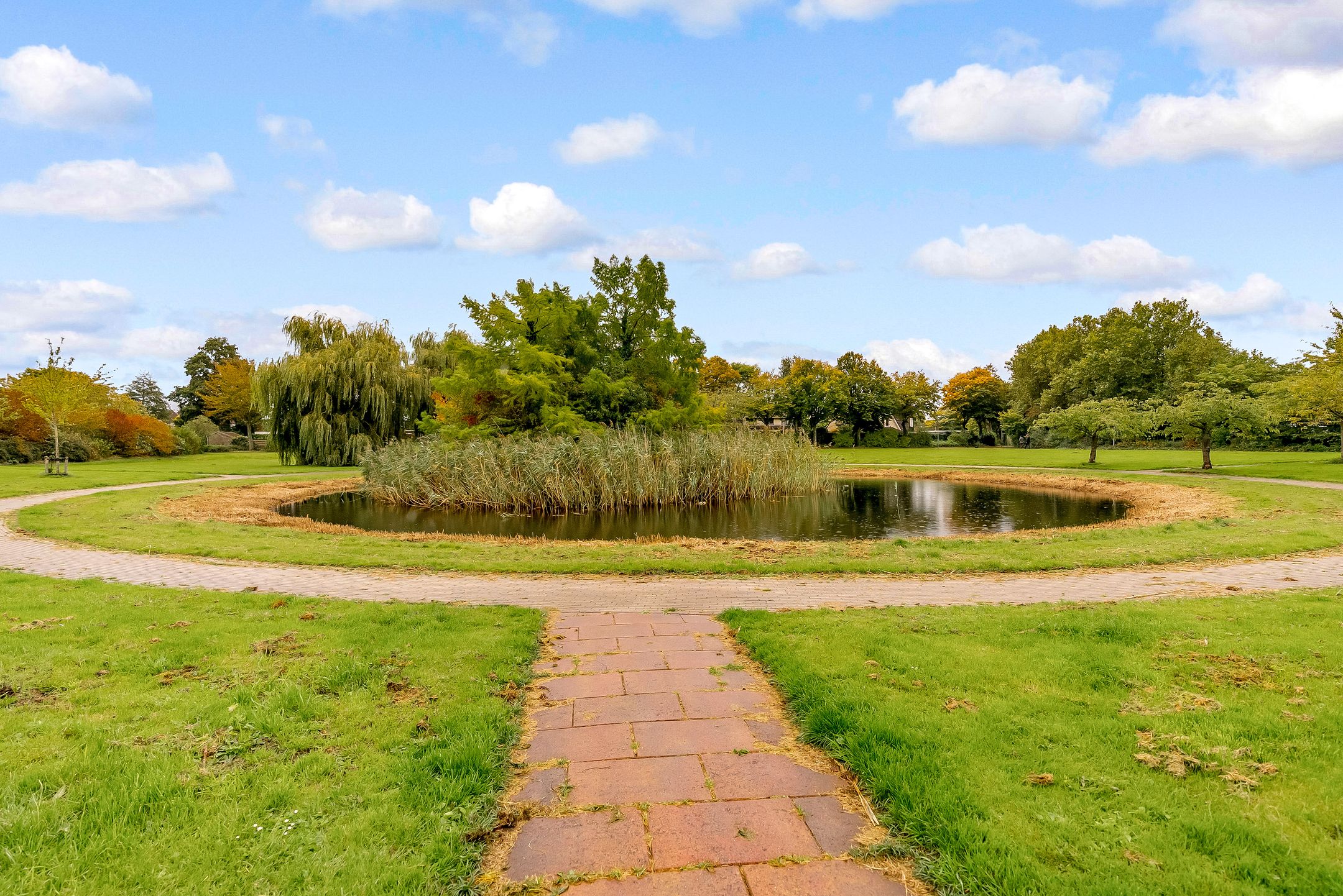 Photo 42 of Schoener 27 22