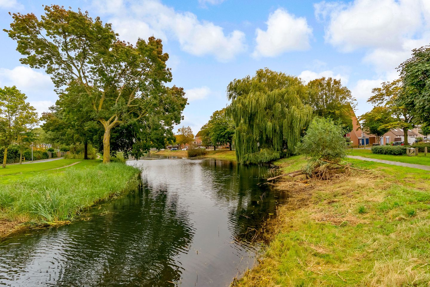 Photo 44 of Schoener 27 22