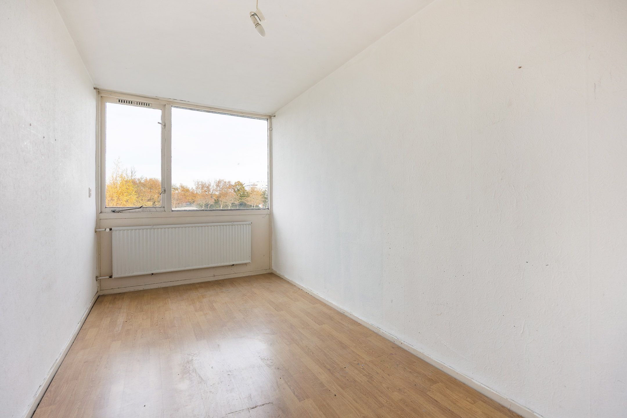 Foto 30 van Zandbank 9