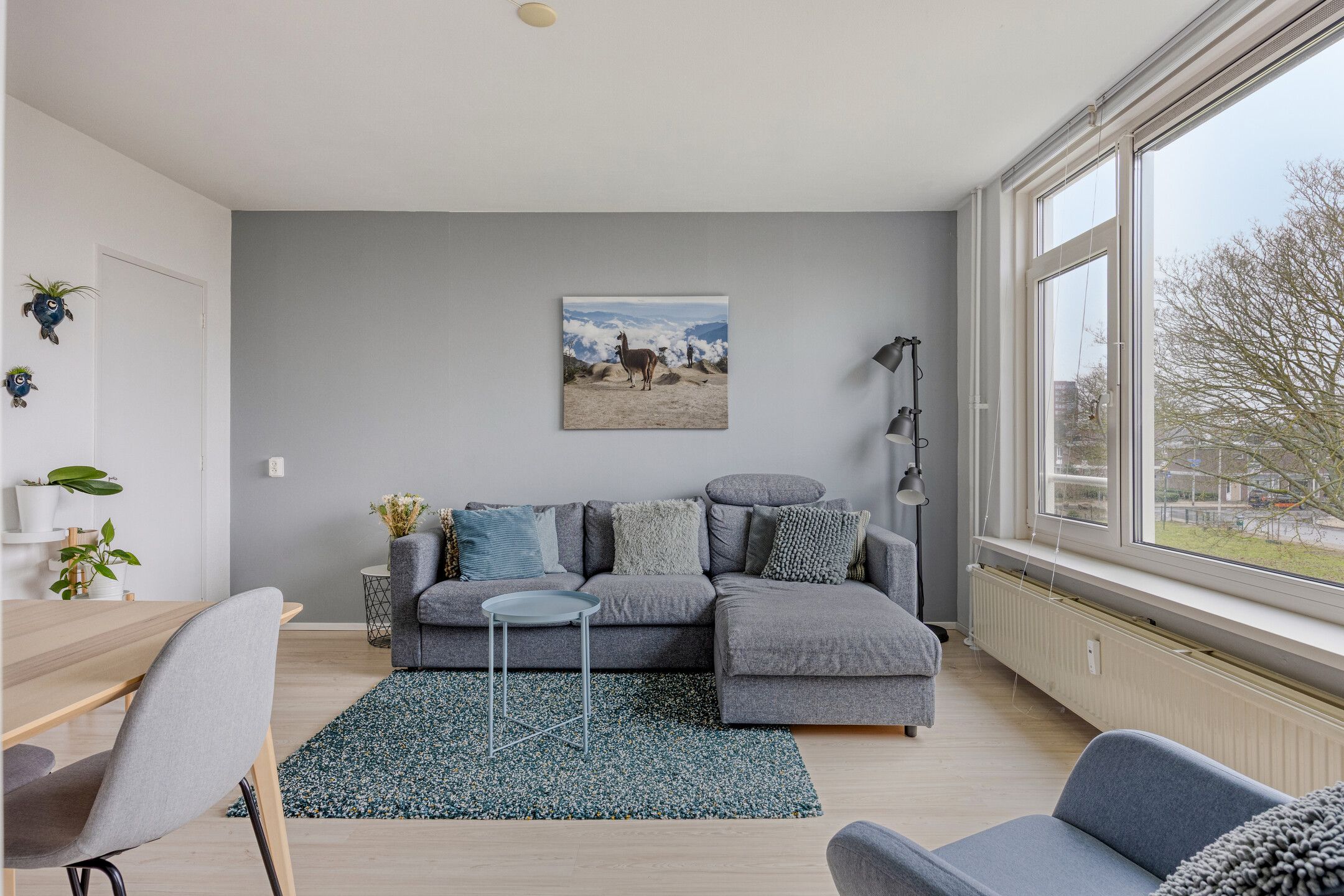 Foto 3 van Domela Nieuwenhuisstraat 47