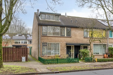 undefined main image