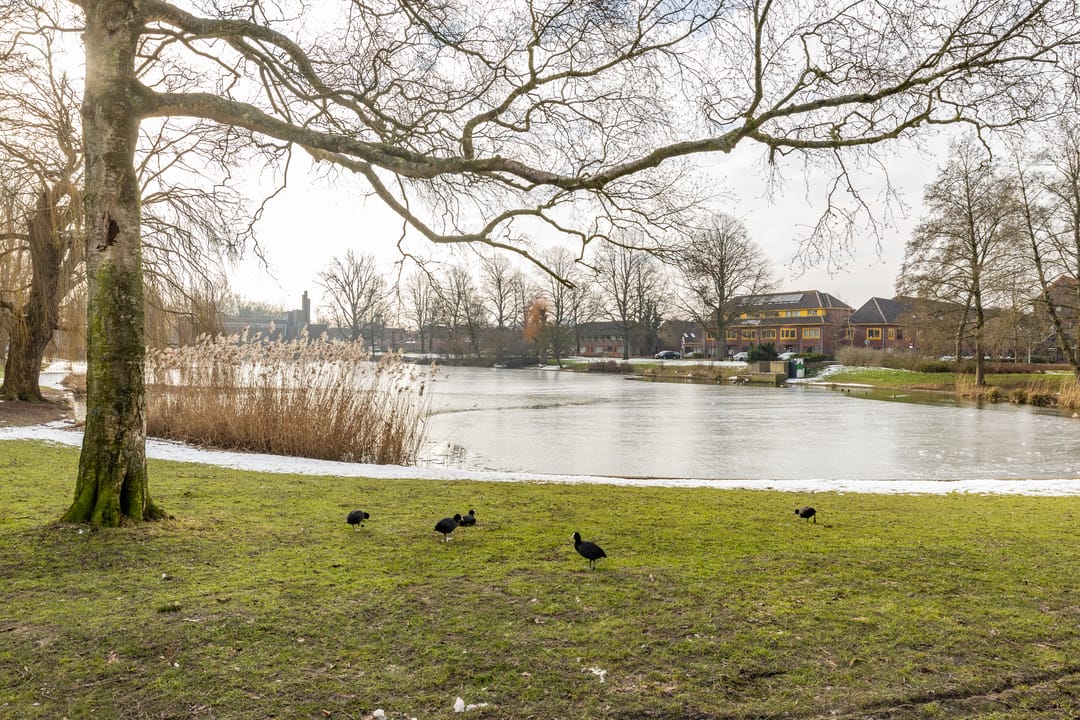 Foto 7 van Pioenstraat 23