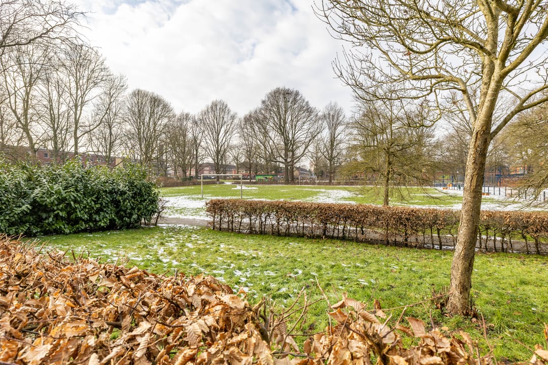 Foto 8 van Pioenstraat 23