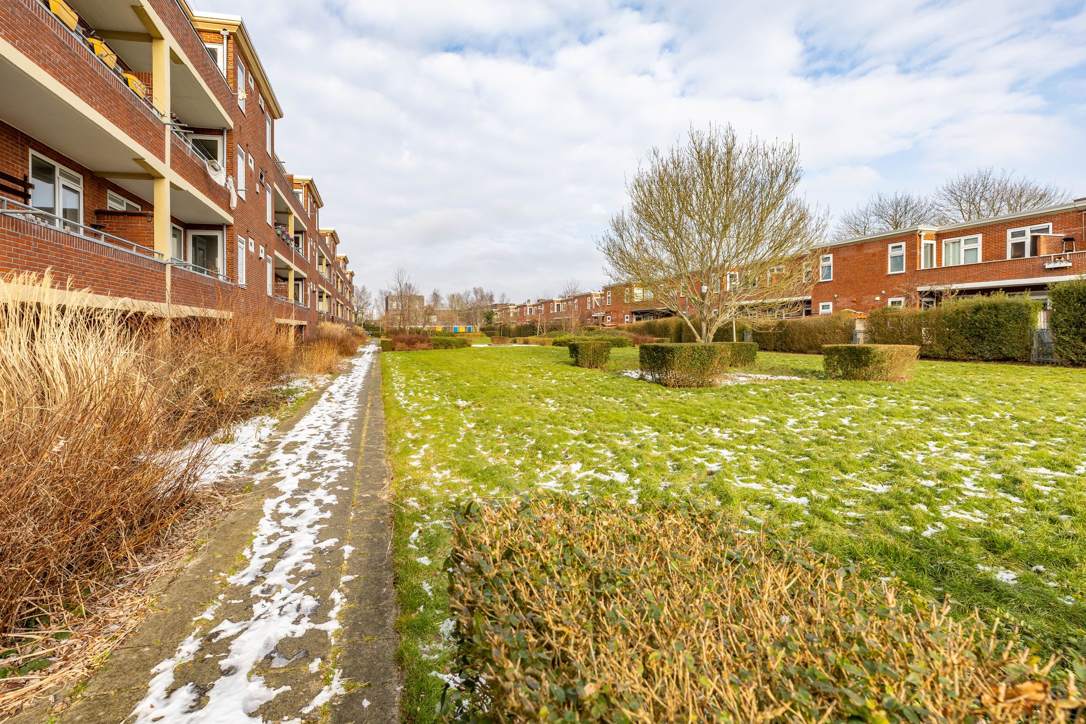 Foto 42 van Pioenstraat 23