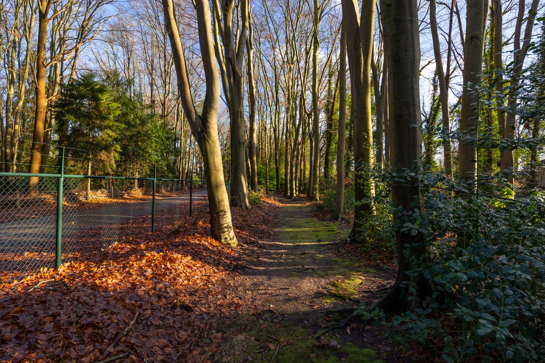 Photo 86 of Rijksstraatweg 12