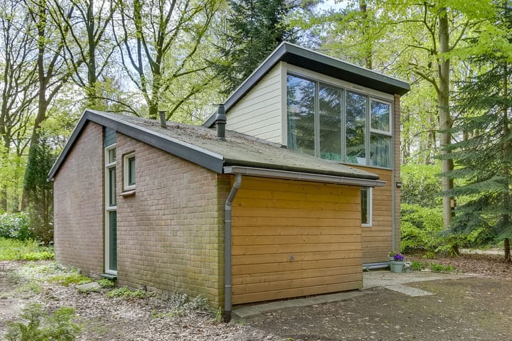 Photo 2 of de Hongerige Wolf 100