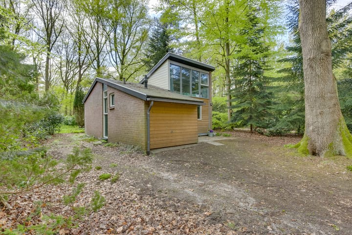 Photo 5 of de Hongerige Wolf 100